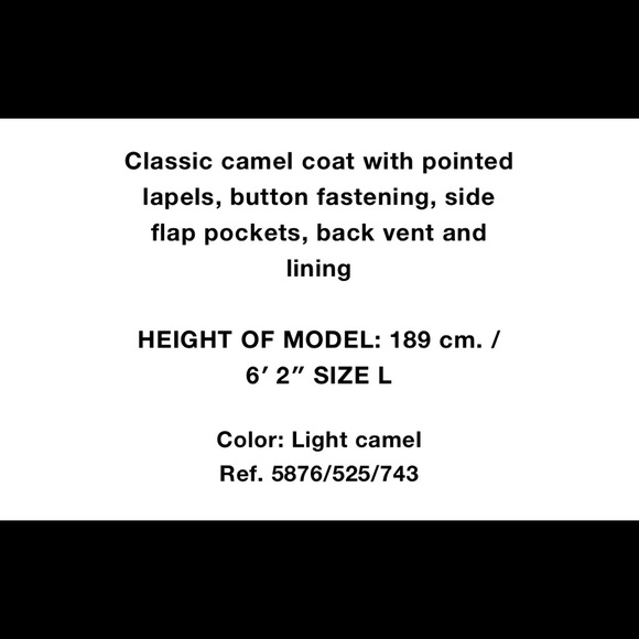 ZARA Camel Coat - Picture 8 of 8